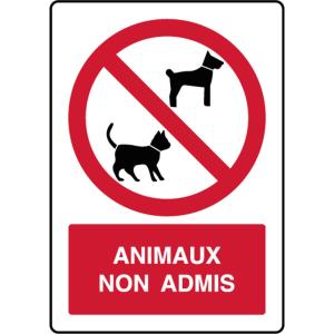 a sign that reads ammonia non admirals with a cat at Oasis 4 personnes in Pamiers