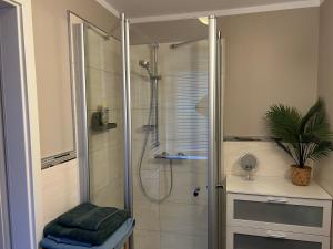 a bathroom with a shower with a glass door at Brocken-Bennos Fachwerkhaus in Wernigerode +8 photos