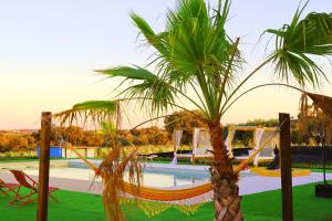 un hamac sous un palmier à côté d'une piscine dans l'établissement Herdade da Yucca - Retreat & Spa, à Terena
