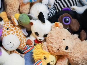 Tiere in der Ferienwohnung oder in der Nähe
