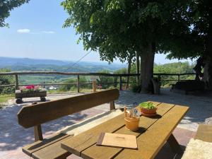 a wooden bench with two plants and a book on it at Wachbergbaude in Saupsdorf