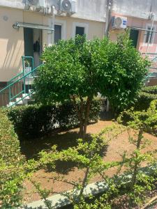 Κήπος έξω από το Residence Vallevò 23 +1 φωτογραφίες