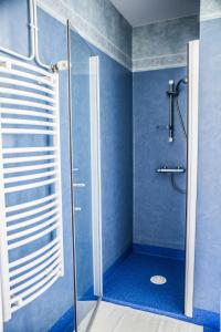 Saint-Didier-en-VelayにあるResidence des portes du Velayの青いバスルーム(ガラスドア付きのシャワー付)