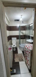 a bathroom with a toilet and a sink at Kicevo - A great apartment for you in Karpoš