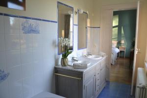 a bathroom with a sink and a mirror at Château de la Saulinière in Kain