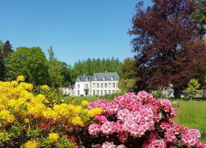 a large white house with flowers in front of it at Château de la Saulinière in Kain