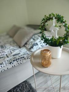 a table with a potted plant on top of a bed at Comfy Studio in Rzeszów