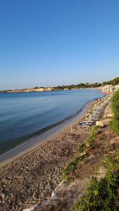 Táj Show holiday homes közelében Még 29 kép