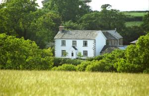 a white house in the middle of a field at Lovaton Farmhouse in Okehampton