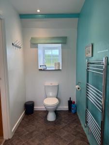 a bathroom with a toilet and a window at Titmouse at Trenale Court Cottages in Tintagel