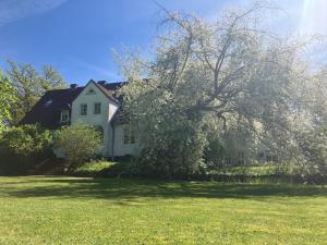 a white house with a tree in the yard at Landhaus Hohe Buchen in Plön