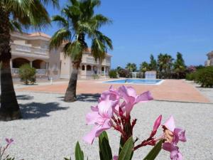 a pink flower in front of a building with palm trees at Vacaciones ideales: apto con piscina, cerca del mar, wifi, aire opcional, admite mascotas, playa perros - ES-184-11 in Riumar