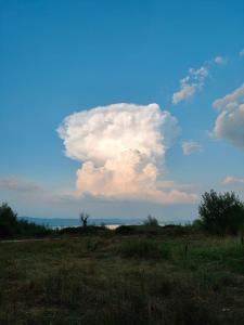 Billede fra billedgalleriet på Orizzonte - Castiglione del Lago i Piana