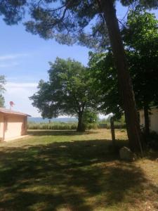 einen Hof mit einem Baum und einem Gebäude in der Unterkunft Orizzonte - Castiglione del Lago in Piana