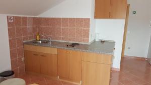 Η κουζίνα ή μικρή κουζίνα στο Apartment Dani 2