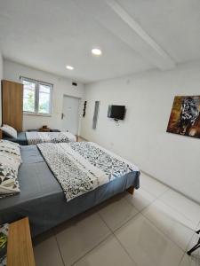 オフリドにあるApartments Three Ohridのベッド2台と薄型テレビ付きのベッドルーム