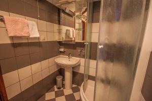 a small bathroom with a sink and a shower at Apartman Joso in Diklo +27 photos