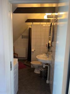a bathroom with a sink and a toilet at Nova Harmonia in Sankt Ibb