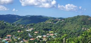 a view of a mountain with houses and trees at Nia's Hillside Apartment - Amazing Scenery in Grande Rivière +7 photos