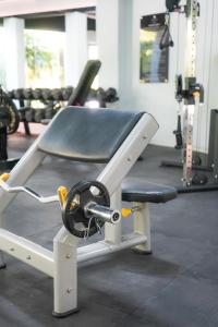 Fitness centrum a/nebo fitness zařízení v ubytování Mistiq Gardens