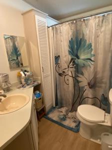 een badkamer met een douchegordijn, een toilet en een wastafel bij Misty falls in Ormond Beach
