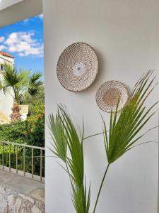 Zahrada ubytování FLAT 45