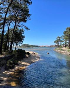 Příroda nedaleko vily