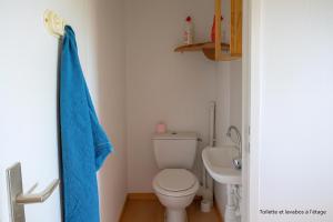 a bathroom with a toilet and a sink at Maison de vacances à louer À 200m de la plage ! in Dolus d'Oléron +6 photos