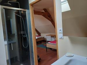 Koupelna v ubytování Logis de la Provosterie - CYCLAMEN + 8 fotografií