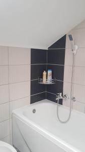 Koupelna v ubytování Apartman Sofi