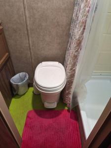 un bagno con un water con un tappeto rosa e verde di Tiny Trailer happy hole in the wall a Orlando