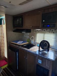 una cucina con lavandino e forno a microonde di Tiny Trailer happy hole in the wall a Orlando