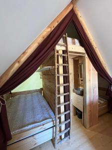 a bunk bed with a ladder in a room at La Cabane de l'Orpailleur in Gravières