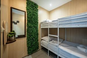 a room with bunk beds and a green wall at Heart of the city Hostel in Varna City