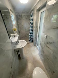 a bathroom with a sink and a shower and a toilet at Cazare Pedro in Mamaia