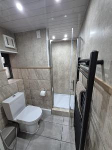 a small bathroom with a toilet and a shower at Ulverston Town Centre Flat (2 Bedrooms) in Ulverston