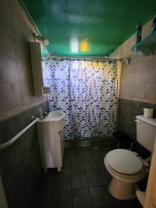 a bathroom with a toilet and a shower curtain at Porota house in Santa Clara del Mar