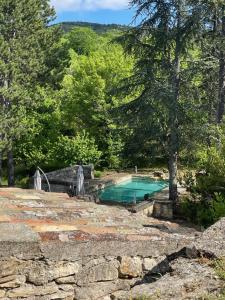 a swimming pool in the middle of a forest at Les Grottes in Sivergues