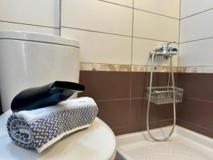 a blow dryer sitting on top of a toilet in a bathroom at Agali Studios 2 in Gialtra