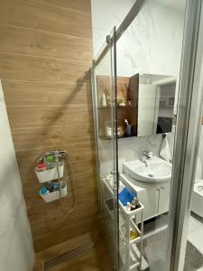 Vannituba majutusasutuses Ria apartman