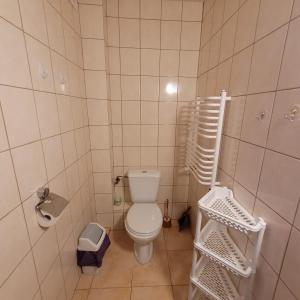 a small bathroom with a toilet and a sink at Willa Roztocze in Zwierzyniec +33 photos