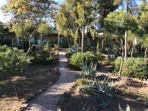 a path leading to a house with trees and plants at Quinta das Eirinhas-Jardim de Bonsai in Tavira