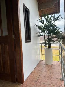 a plant in a white pot next to a door at Frank Haus Hospedaria in Treze Tílias