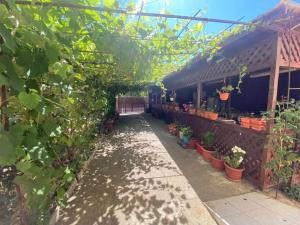 a garden with potted plants and a building at Maty's House in Schitul