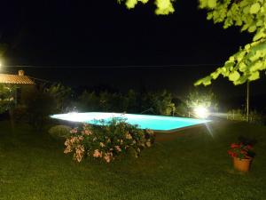 a swimming pool in a yard at night at Agriturismo San Giovanni in Cetona