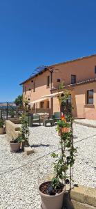 a group of potted plants sitting in a courtyard at Casa Talènt - appartement Salvia in Monte Porzio
