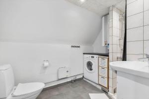 un bagno con WC e lavatrice di 1106-ringkobing-Klitrosevej-4 a Nørby Altre 28 foto