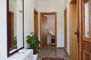 a hallway with a person taking a picture in a mirror at Apartman ODISEJ in Čapljina +12 photos