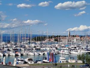 a bunch of boats are docked in a harbor at Marina View Apartment Izola in Izola
