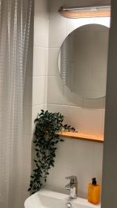 La salle de bains est pourvue d'un lavabo, d'un miroir et d'une plante. dans l'établissement Designerwohnung mit malerischer Terrasse - Modern, Gemütlich & Zentral, à Hochheim am Main